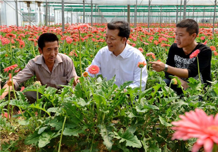 　　廖俊波（中）在福建省政和县铁山镇东涧村向花农了解花卉生产情况（2014年4月18日摄）。 新华社发（徐庭盛 摄）