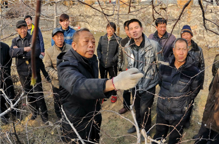 　　李保国（前左）在河北省内丘县岗底村向村民讲解果树修剪知识（2016年1月27日摄）。新华社记者 朱旭东 摄