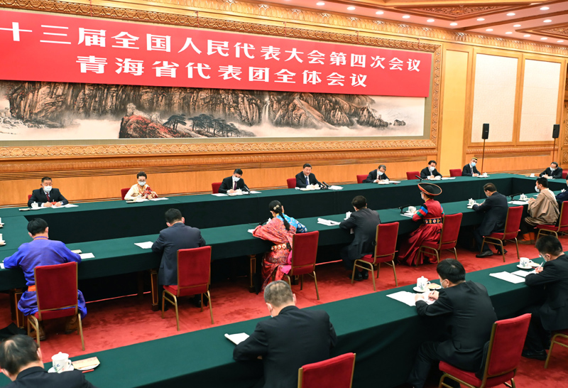 习近平参加青海代表团审议 
