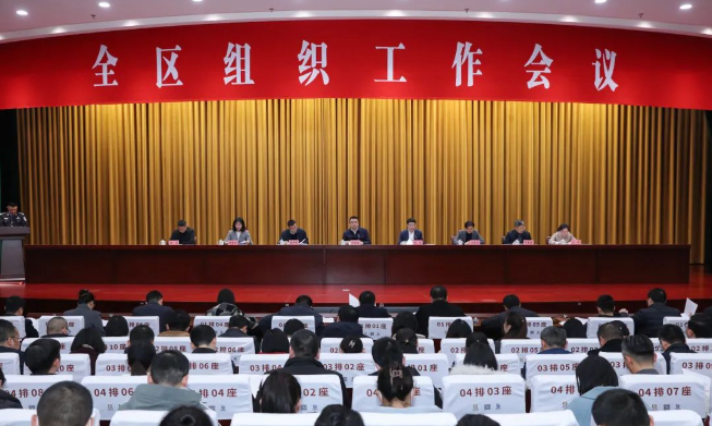 全区组织工作会议召开
