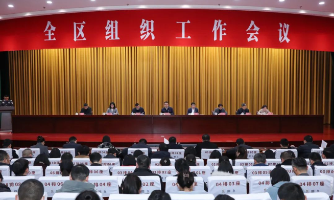 全区组织工作会议召开